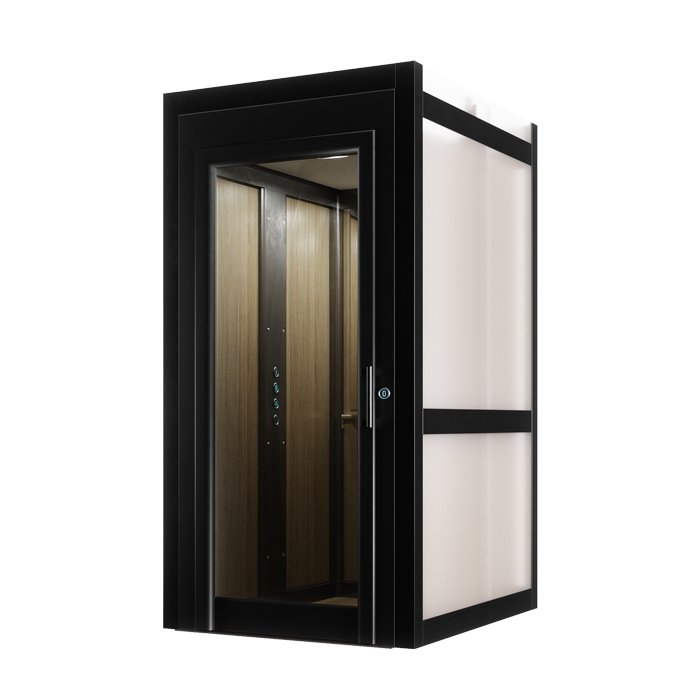Ascent Home Lift